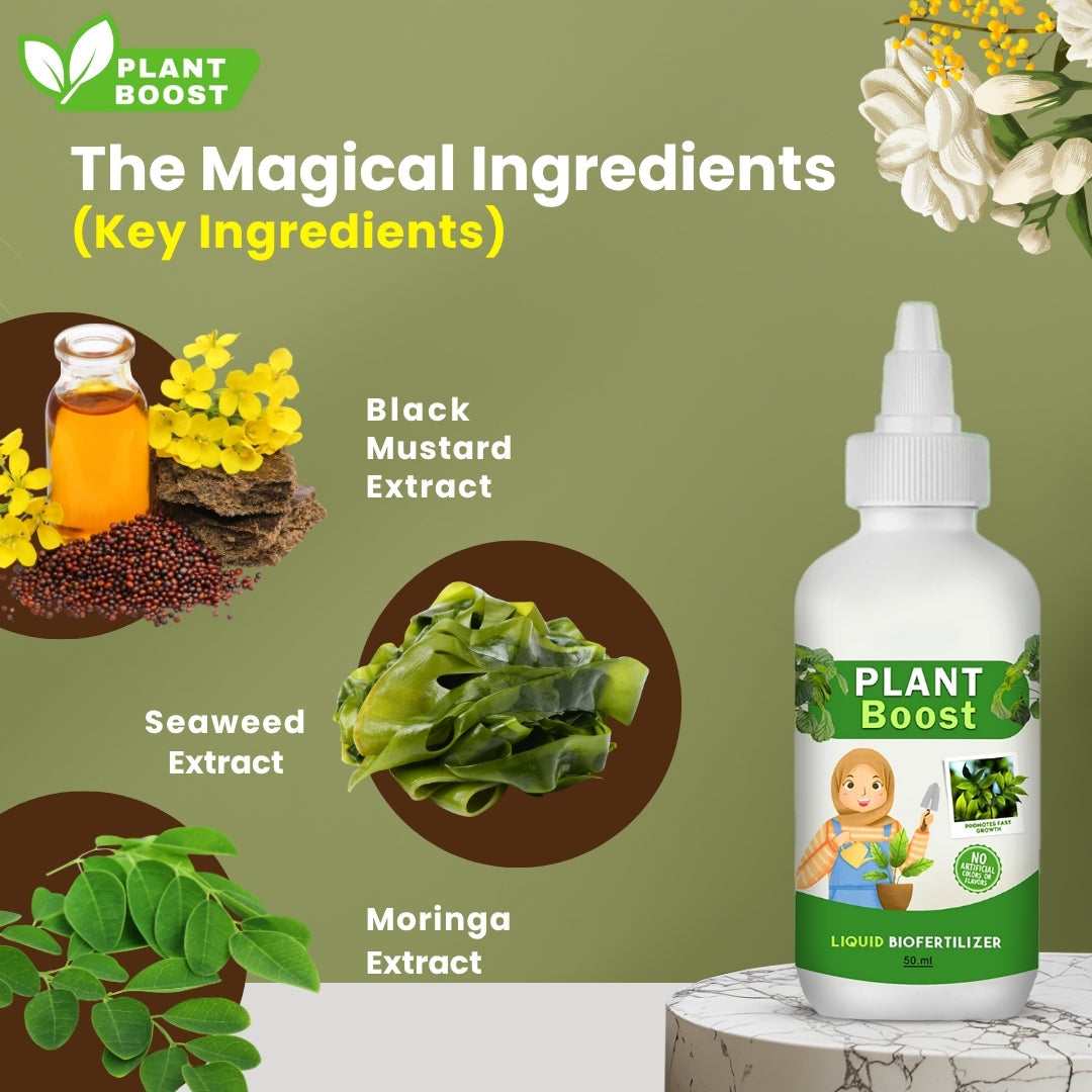 Natural Plant Care Combo -  Plant Boost with Safe Plant Sprays