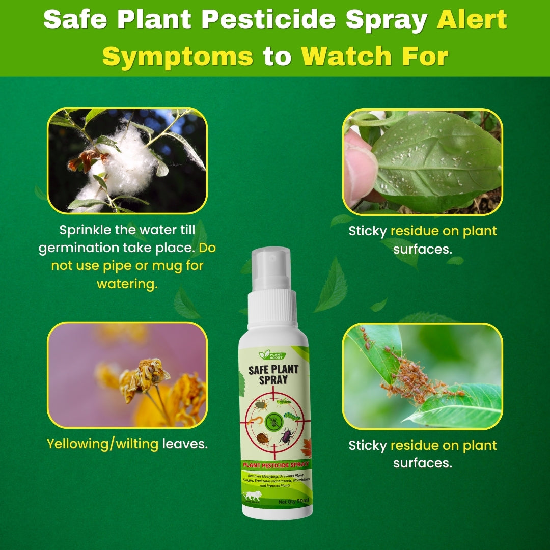 Natural Plant Care Combo -  Plant Boost with Safe Plant Sprays