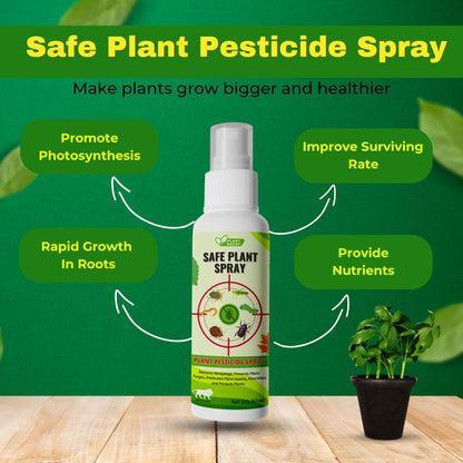 Natural Plant Care Combo -  Plant Boost with Safe Plant Sprays